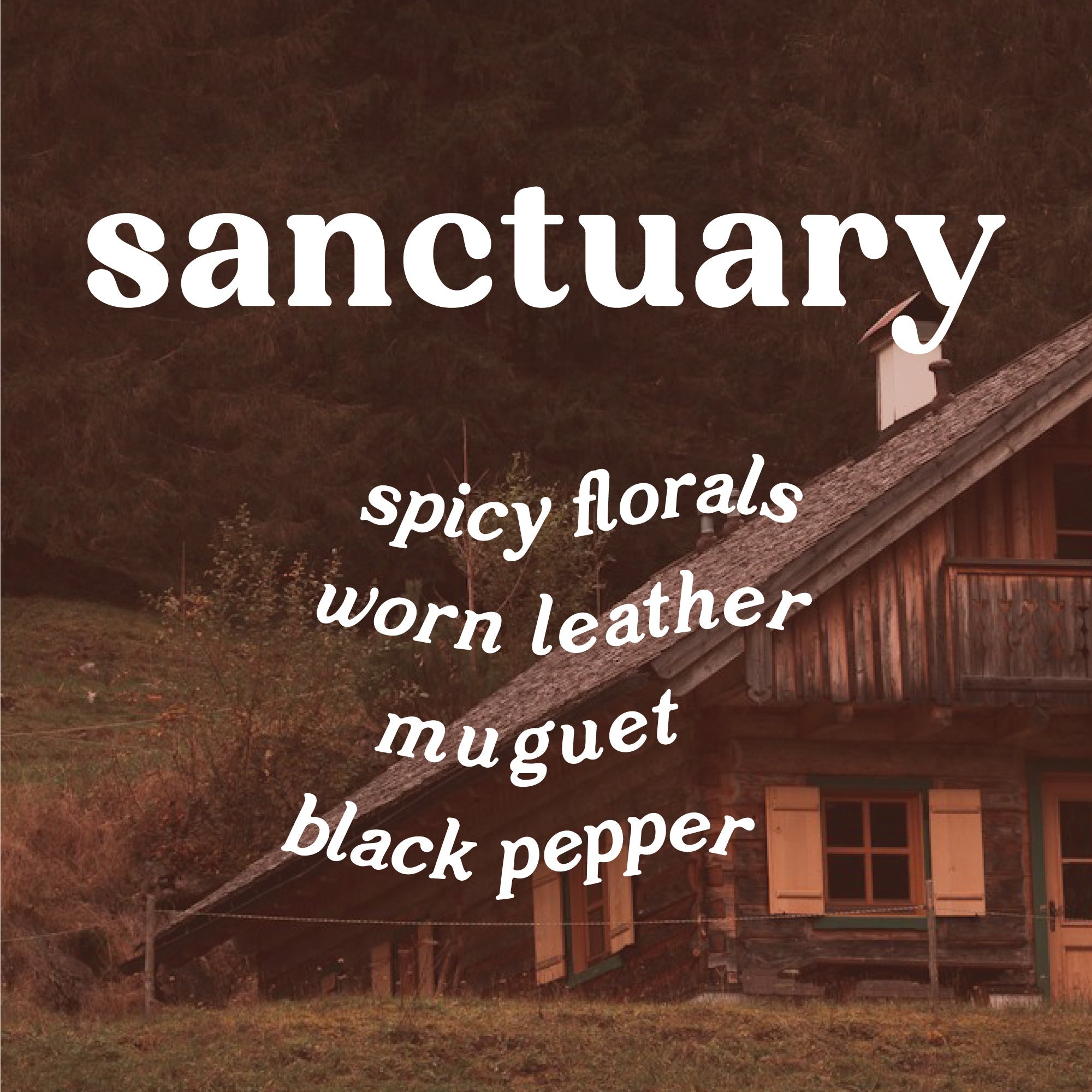 Soy Wax Sanctuary Candle - Leather + Incense 9 oz.