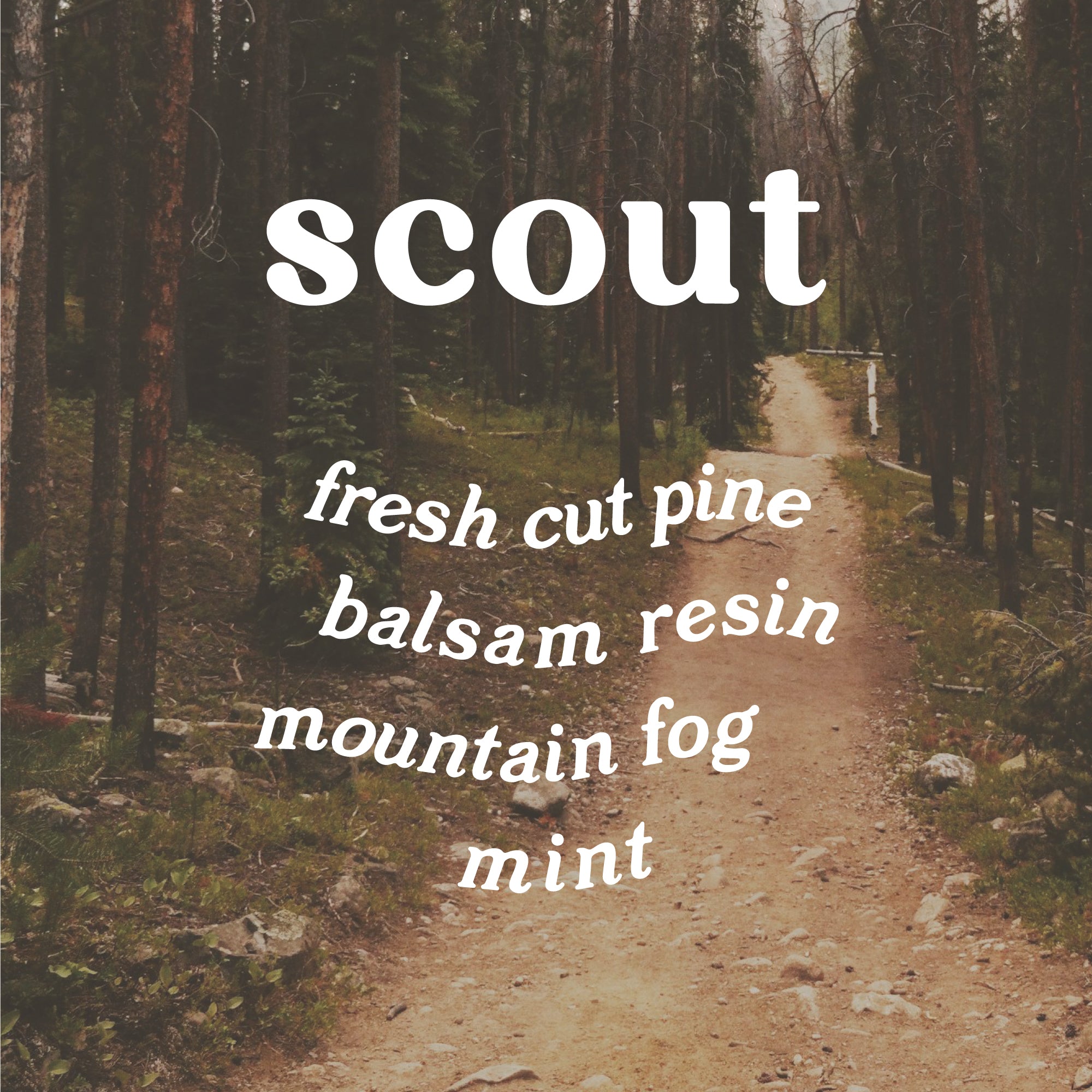 Soy Wax Candle Scout 9 oz. - White Pine