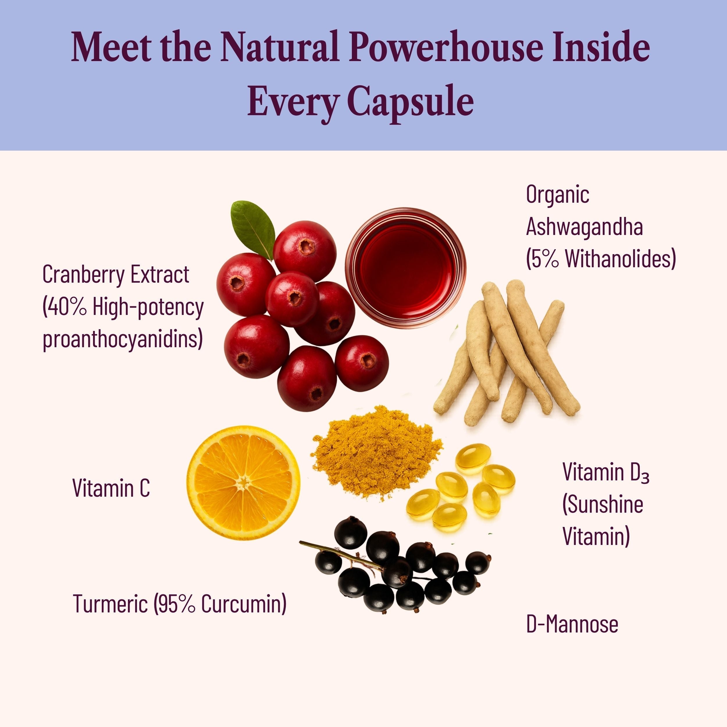 Menopause Urinary Tract Balance – Bladder Comfort & Urgency Support