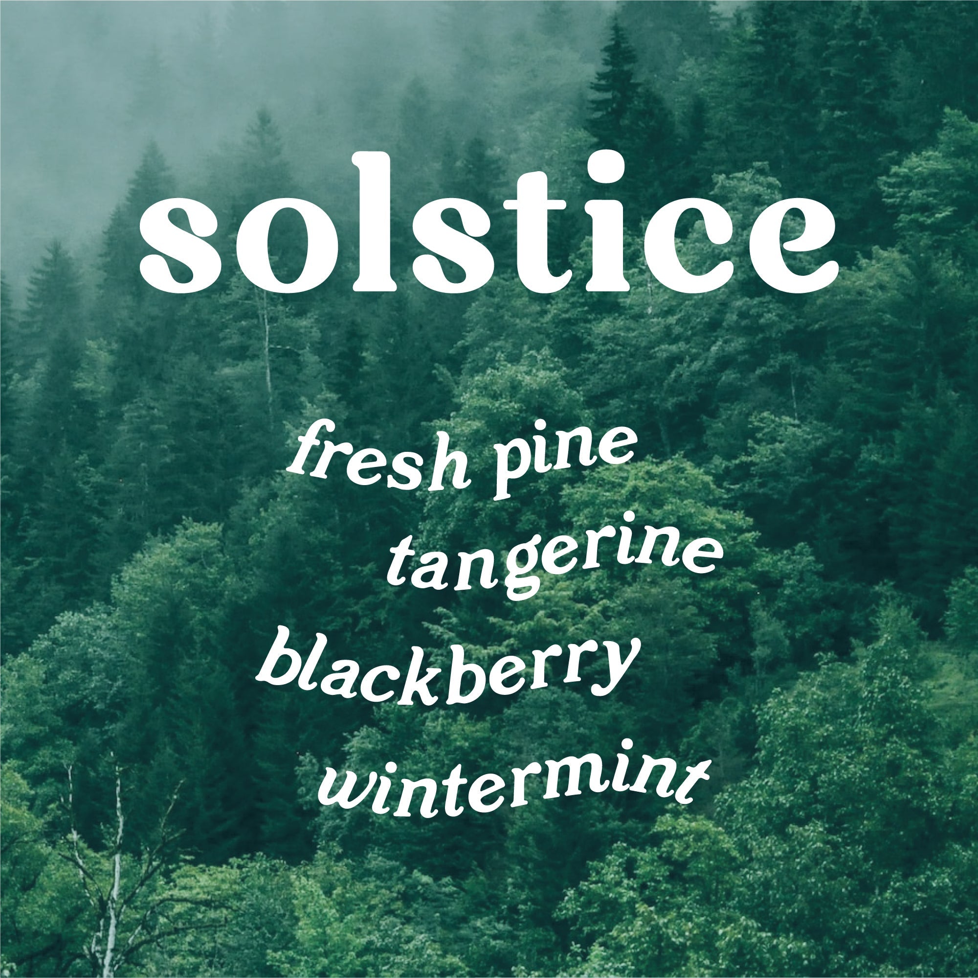 Solstice 9 oz. Hue Candle - Nordic Pine