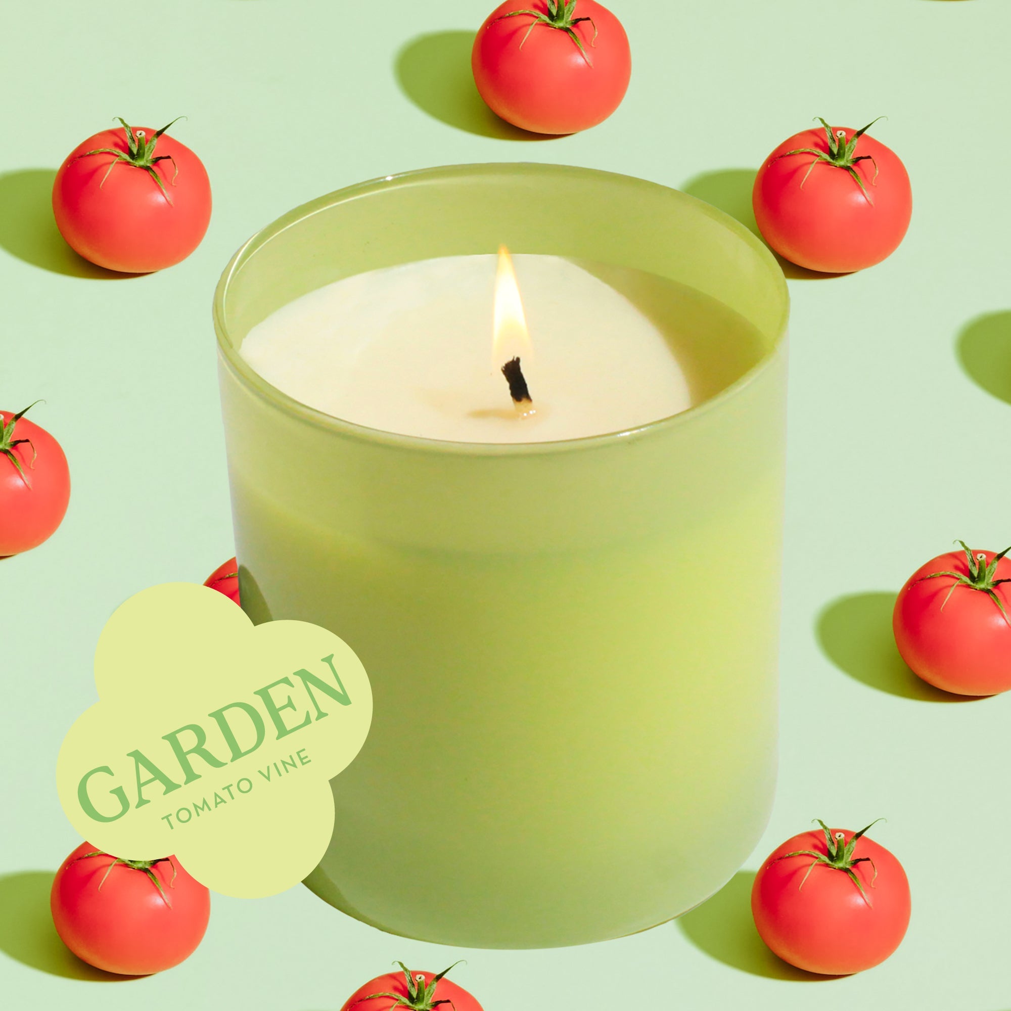 Garden 9 oz. Hue Soy Candle - Tomato Vine