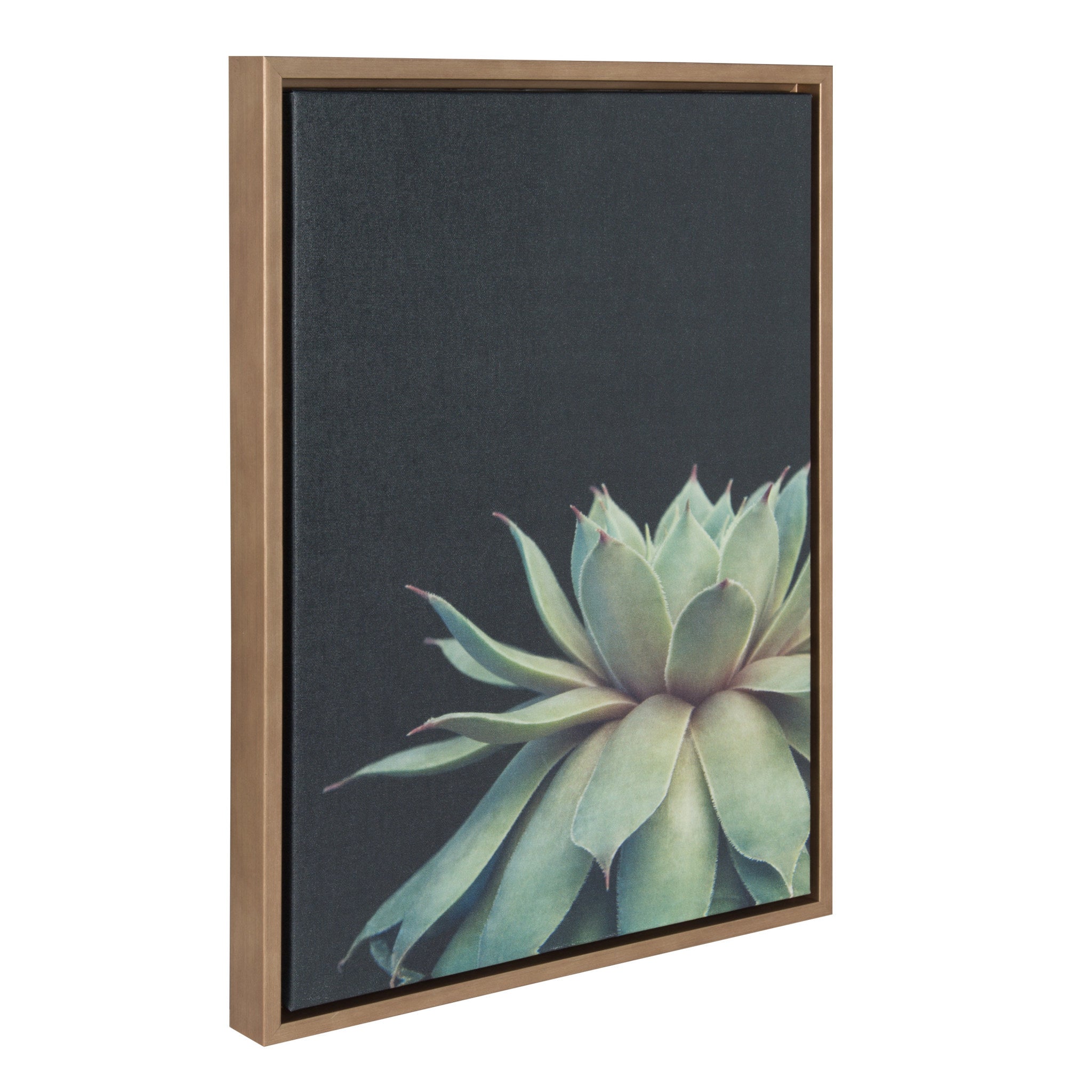 Sylvie Succulent Framed Canvas by F2 Images